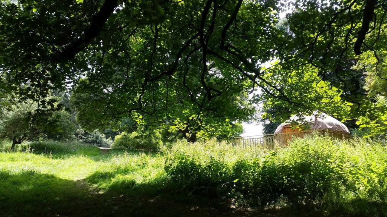 Rock Farm Slane - Glamping Hotel Exterior foto